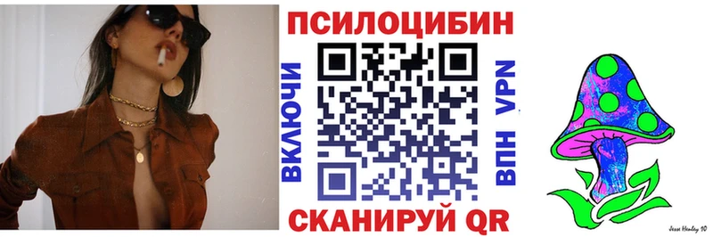 Галлюциногенные грибы Psilocybine cubensis  Купить закладки  Солигалич 